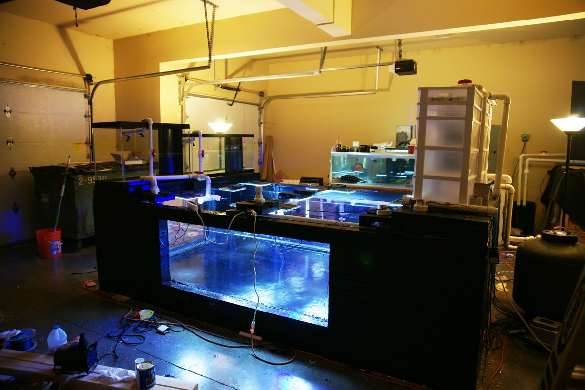 EPOXY RESIN 4 AQUARIUM TANK CONSTRUCTION COATING CASTING FIBERGLASSING